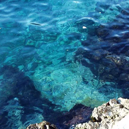 And By The Sea Zavalatica, Korcula - 547 Pensión 3*
