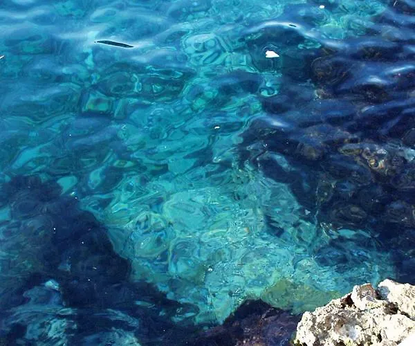 And By The Sea Zavalatica, Korcula - 547 Pensjonat 3*